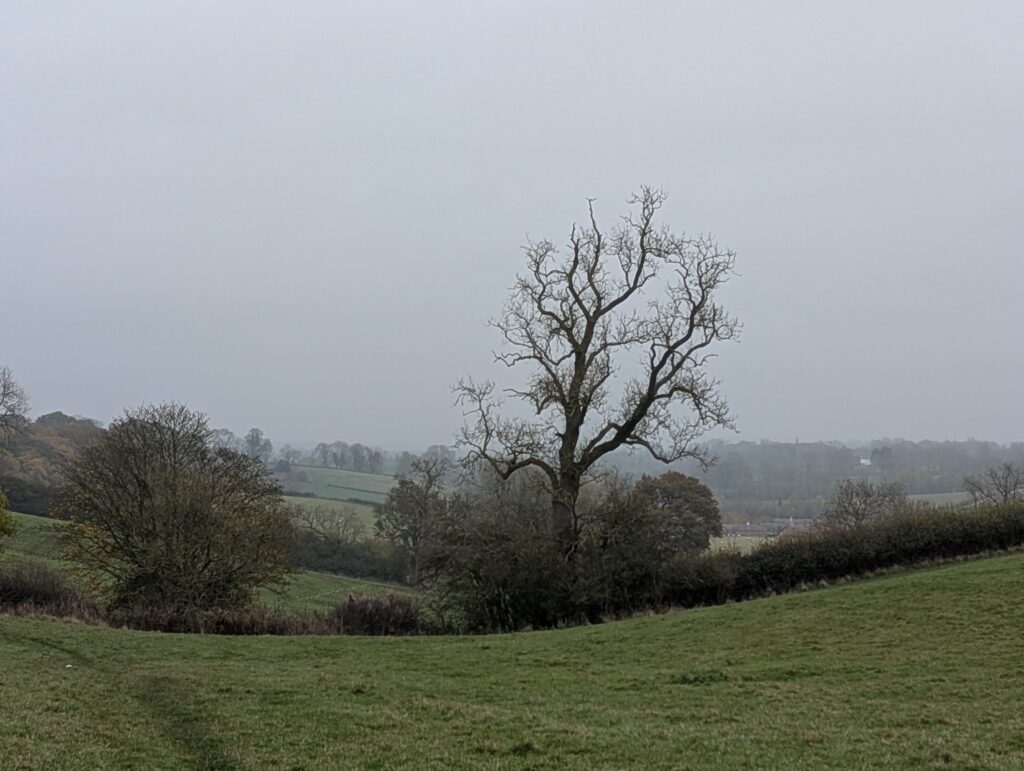 A lovely view, even in the ist!