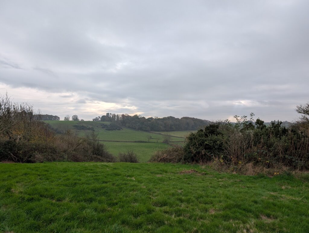 The view from the top.