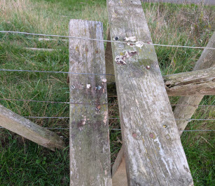 How to report issues with Public Rights of Way