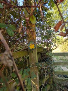 Hidden post en route to Arnesby