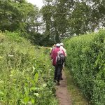 Through the undergrowth!