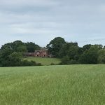 A well-nestled nest!