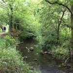 Babbling to Swithland Reservoir!