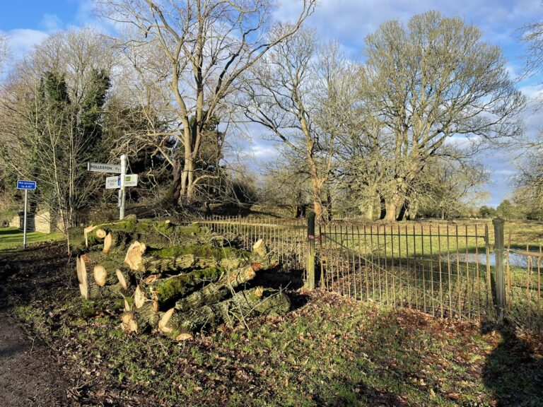 Anyone fancy some logs?