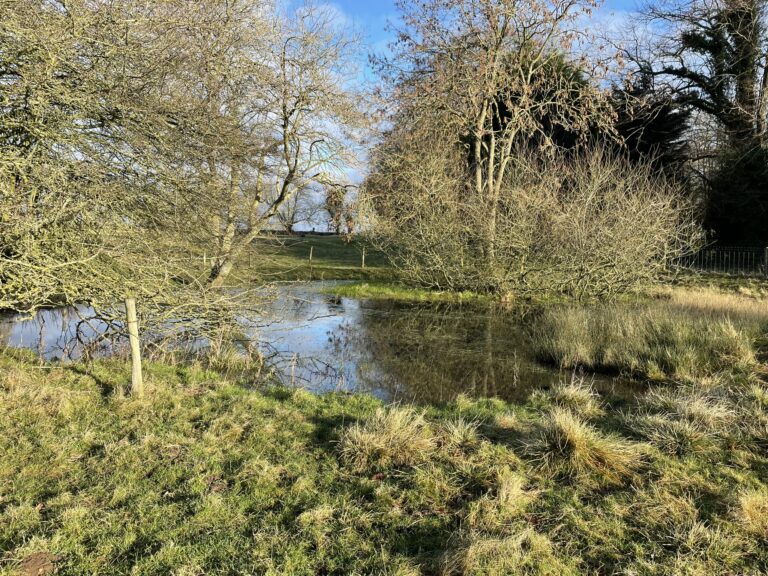 A drop of the wet stuff!