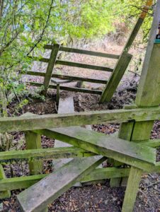 The double stile at Millenium Wood
