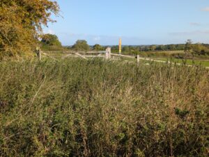 Overgrown bridleway off Arnesby Road