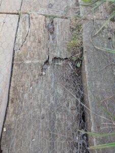 The long footbridge at Saddington